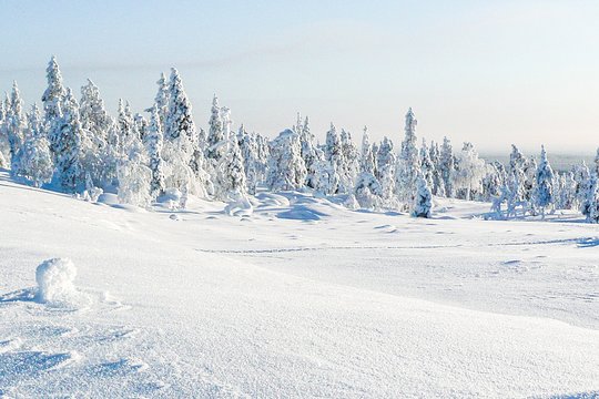 Tour image 8