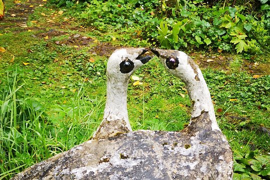 Tour image 4