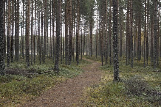 Tour image 8