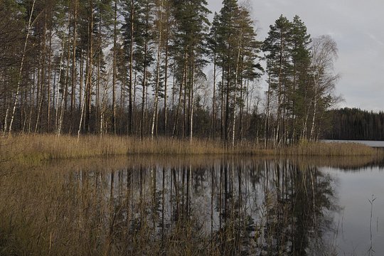 Tour image 10