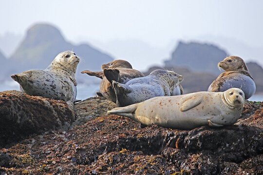 Tour image 1