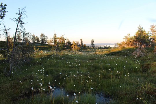 Tour image 6