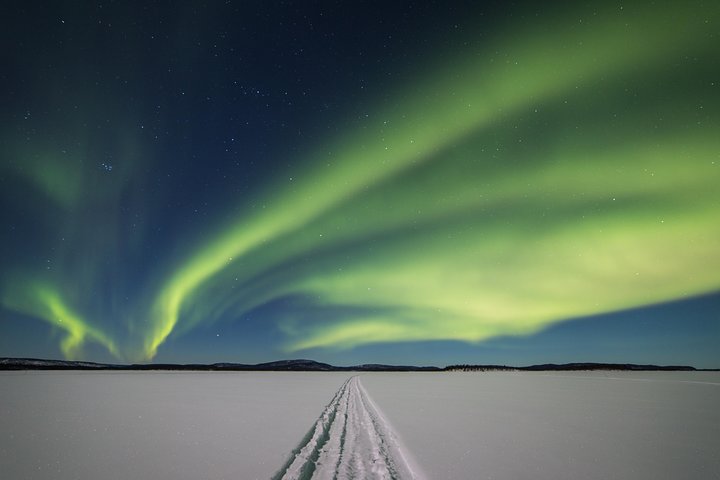 Northern lights tour to Lake Inari from Ivalo, Reindeers & Dinner